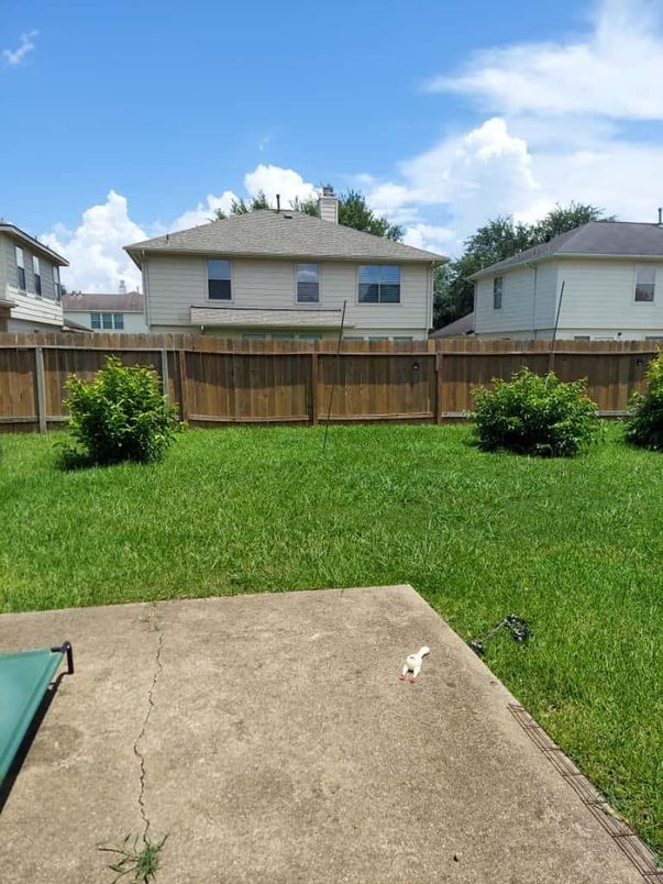 Backyard, Exterior