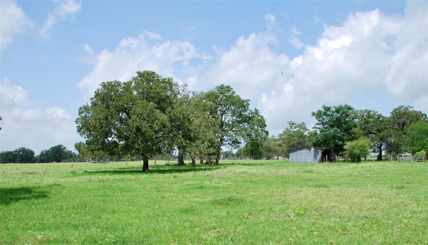 Backyard, Detached Garage, Exterior