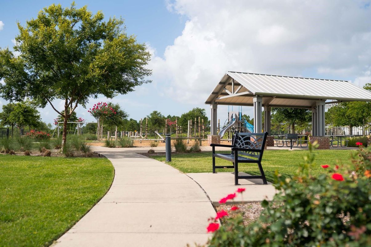 Backyard, Exterior, Playground