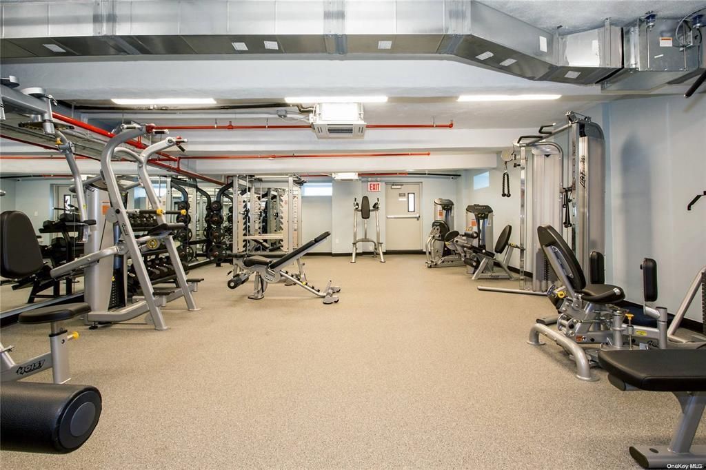 Fitness Equipment, Gym, Interior