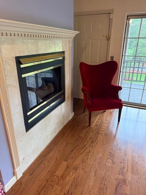 Fireplace, Interior, Wood Texture Flooring