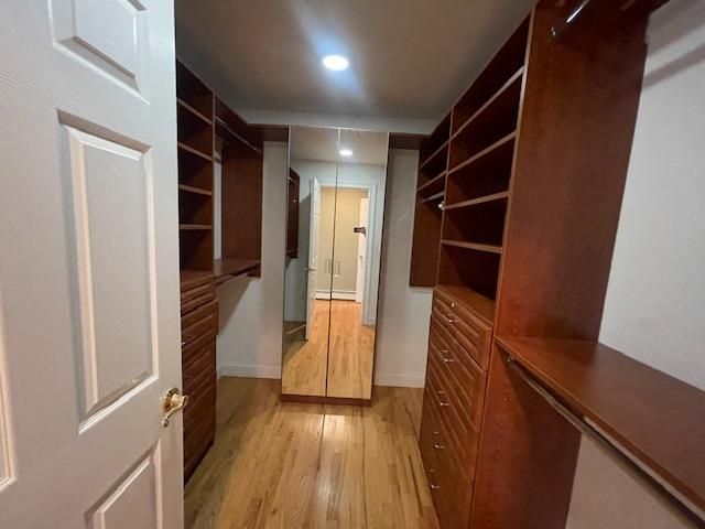 Interior, Recessed Lighting, Walk-in Closets, Wood Texture Flooring