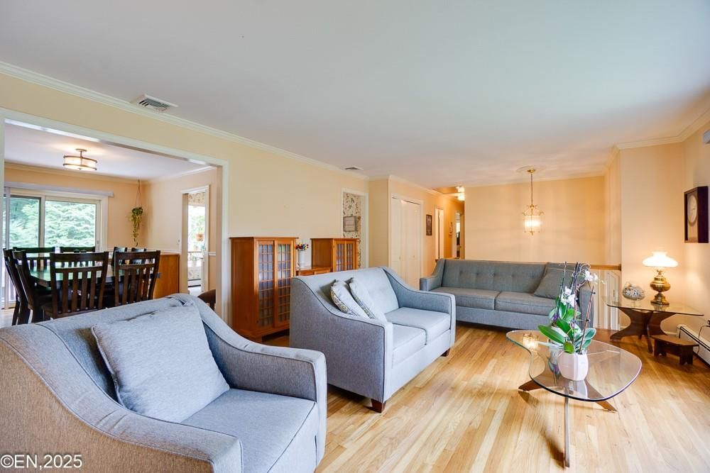 Dining room, Interior, Living room, Pendant Lights, Wood Texture Flooring