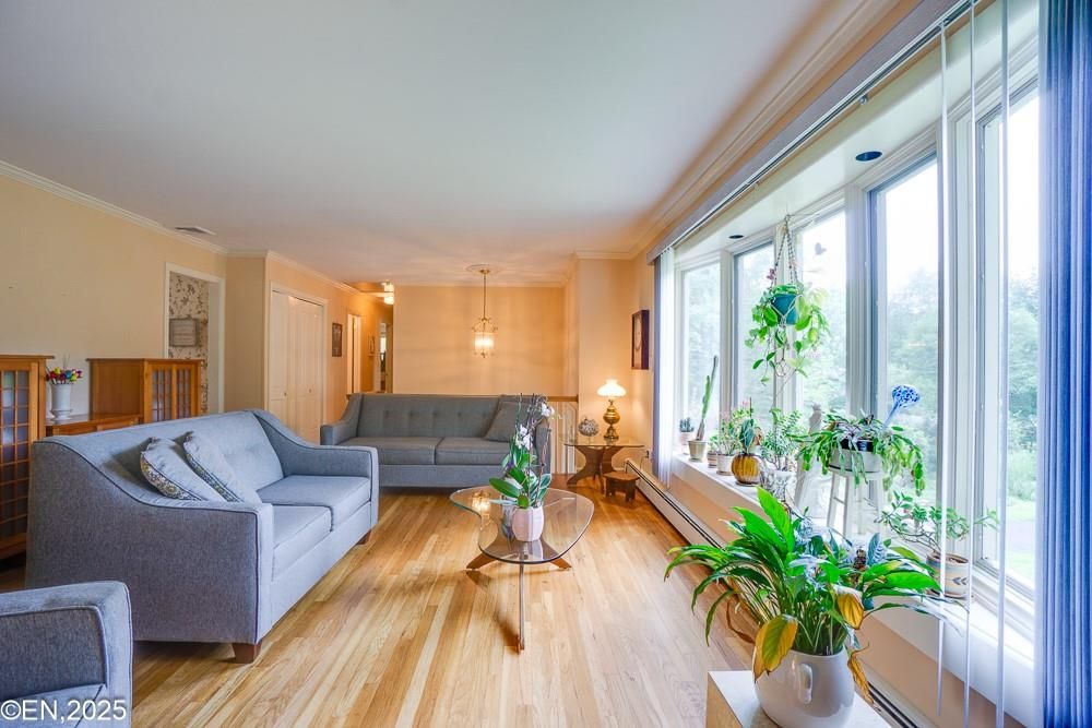 Interior, Living room, Pendant Lights, Wood Texture Flooring