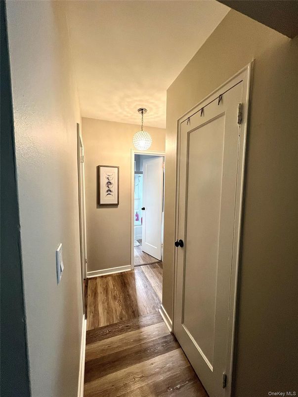 Chandelier, Interior, Wood Texture Flooring