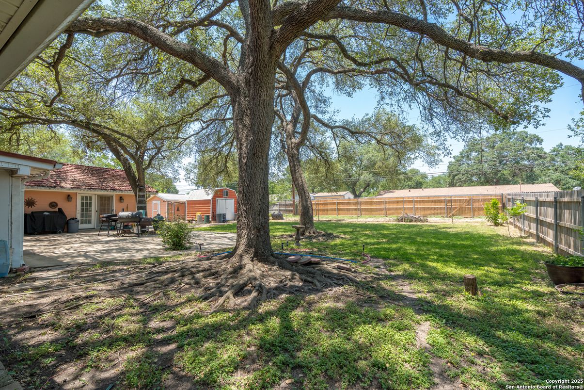Backyard, Exterior