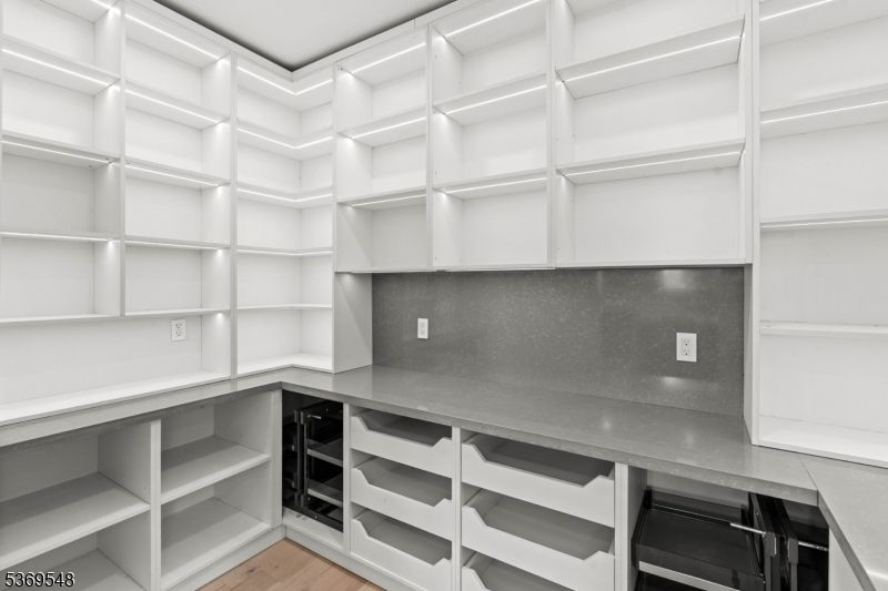Interior, Walk-in Closets, Wood Texture Flooring
