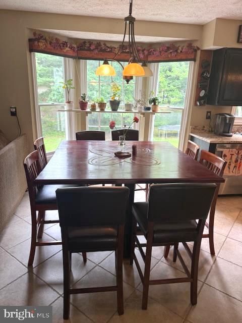 Dining room, Interior, Pendant Lights