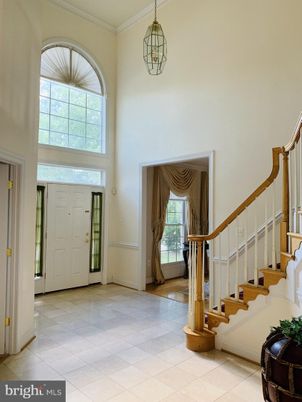 Interior, Pendant Lights