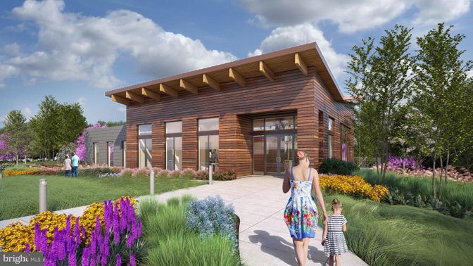 Backyard, Exterior, Facade, Log Home