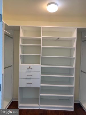 Interior, Walk-in Closets, Wood Texture Flooring