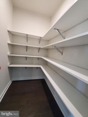 Interior, Walk-in Closets, Wood Texture Flooring