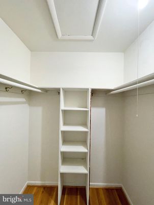 Interior, Walk-in Closets, Wood Texture Flooring
