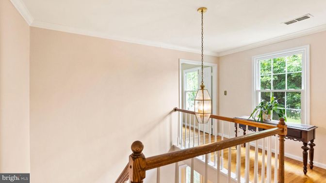 Interior, Pendant Lights