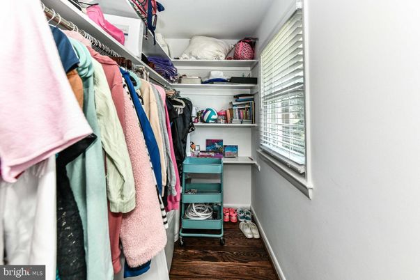 Interior, Walk-in Closets, Wood Texture Flooring