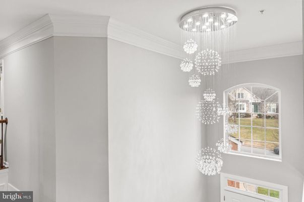 Interior, Pendant Lights