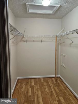 Interior, Walk-in Closets, Wood Texture Flooring