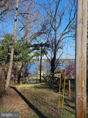 Backyard, Exterior, Water