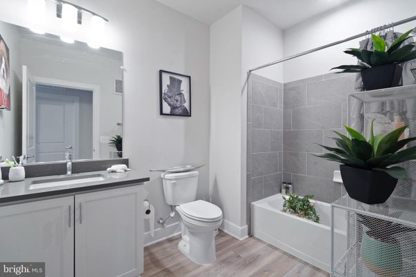 Bathroom, Interior, Wood Texture Flooring