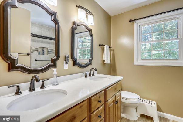Bathroom, Dual Sink Vanities, Interior, Wood Texture Flooring