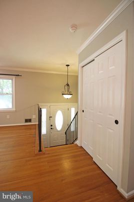 Interior, Pendant Lights, Wood Texture Flooring