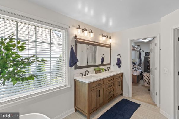 Bathroom, Dual Sink Vanities, Interior, Wood Texture Flooring
