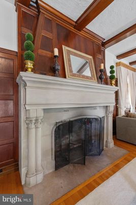 Fireplace, Interior, Wood Texture Flooring, Wooden Walls