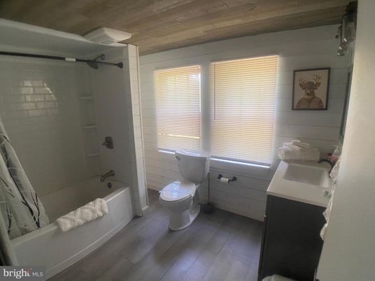 Bathroom, Interior, Wooden Ceilings, Wood Texture Flooring