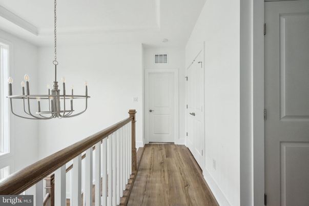 Chandelier, Interior, Wood Texture Flooring