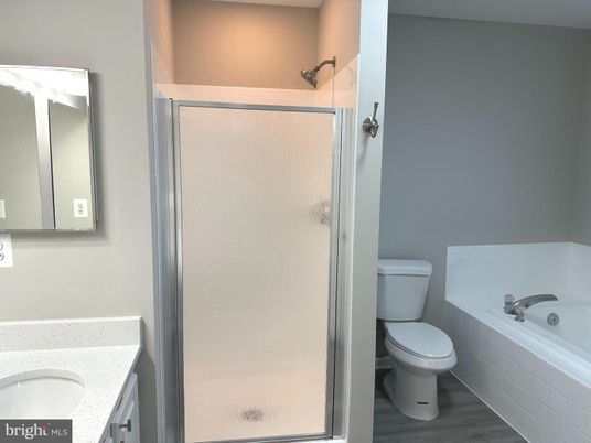 Bathroom, Glass Shower, Interior, Wood Texture Flooring