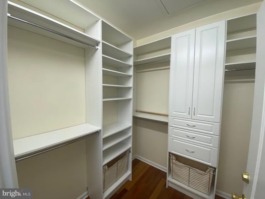Interior, Walk-in Closets, Wood Texture Flooring