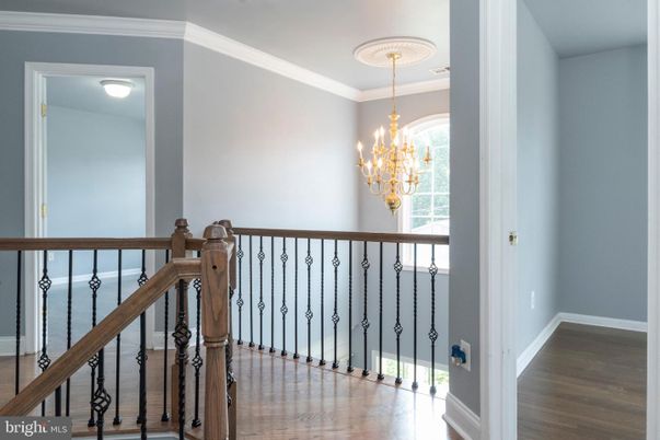 Chandelier, Interior, Wood Texture Flooring