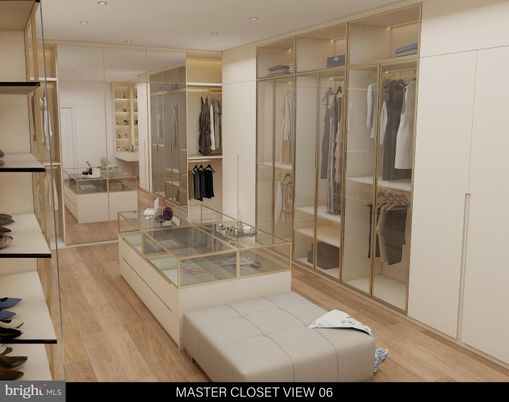 Interior, Recessed Lighting, Walk-in Closets, Wood Texture Flooring
