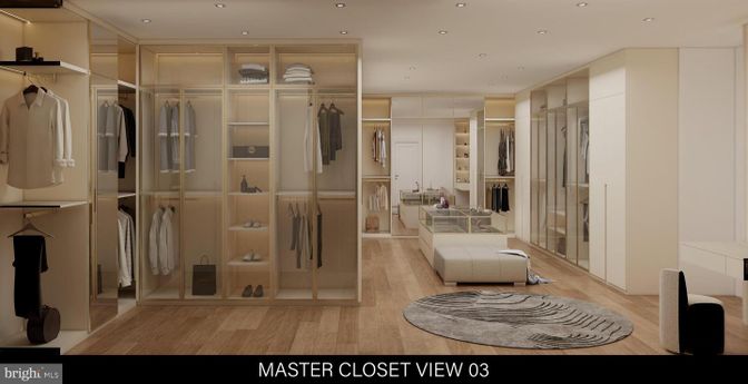 Interior, Recessed Lighting, Walk-in Closets, Wood Texture Flooring