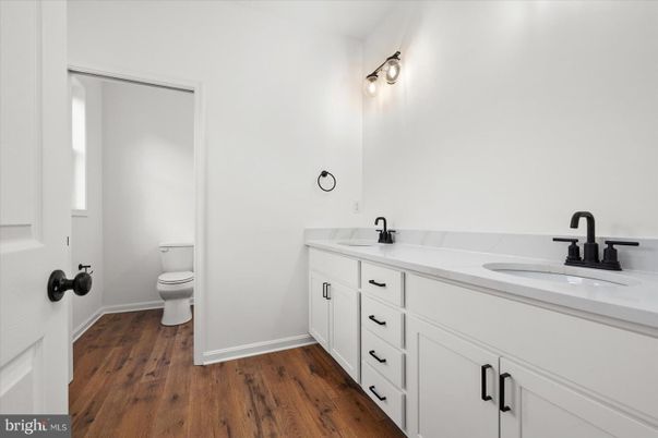 Bathroom, Dual Sink Vanities, Interior, Wood Texture Flooring