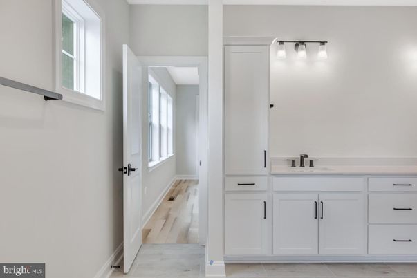 Bathroom, Dual Sink Vanities, Interior, Wood Texture Flooring