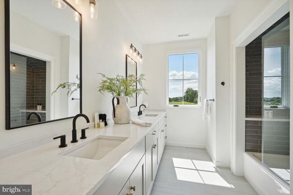 Bathroom, Dual Sink Vanities, Interior, Wood Texture Flooring