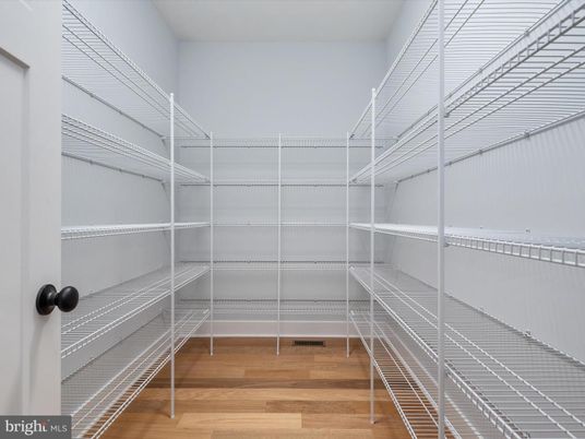 Interior, Walk-in Closets, Wood Texture Flooring