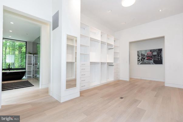 Interior, Recessed Lighting, Walk-in Closets, Wood Texture Flooring