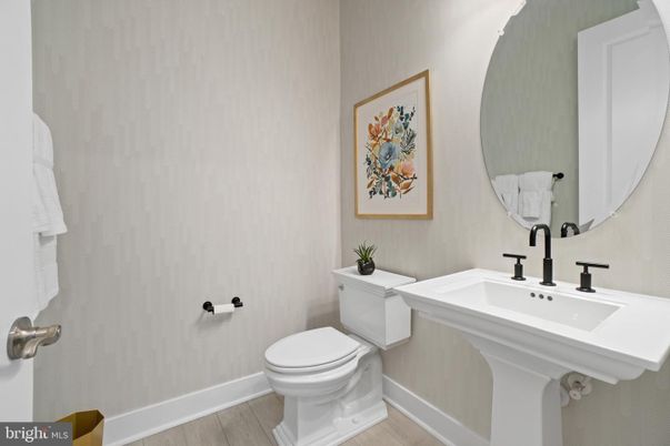 Bathroom, Interior, Wood Texture Flooring