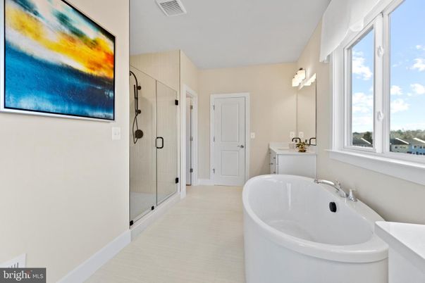 Bathroom, Free Standing Baths, Glass Shower, Interior