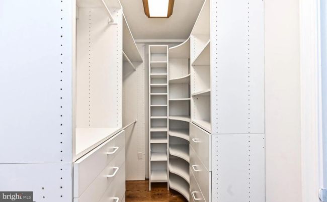 Interior, Walk-in Closets, Wood Texture Flooring