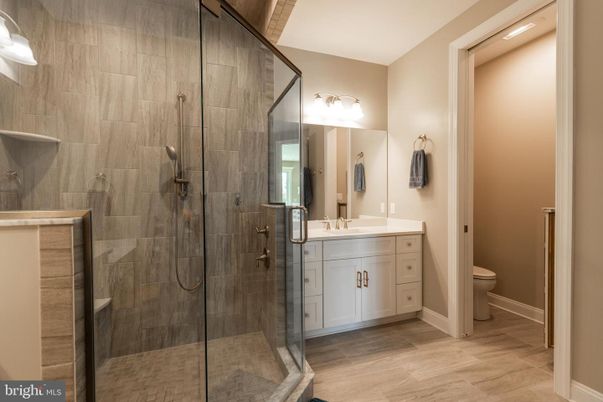 Bathroom, Dual Sink Vanities, Glass Shower, Interior, Wood Texture Flooring