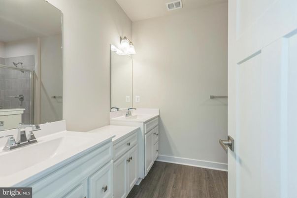 Bathroom, Dual Sink Vanities, Interior, Wood Texture Flooring