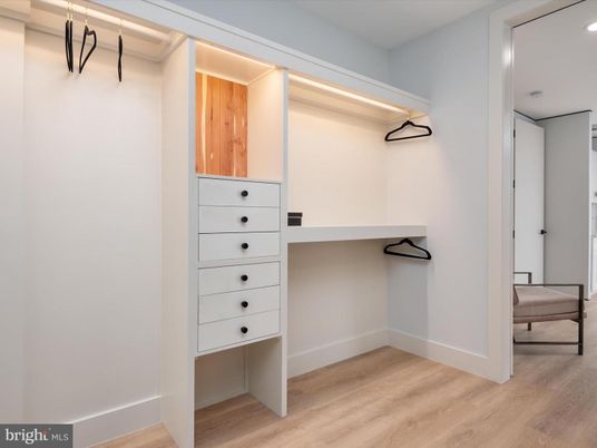 Interior, Recessed Lighting, Walk-in Closets, Wood Texture Flooring