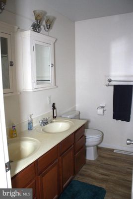 Bathroom, Dual Sink Vanities, Interior, Wood Texture Flooring