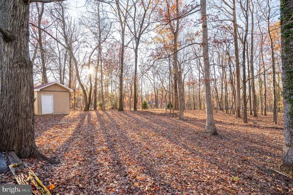 Backyard, Detached Garage, Exterior