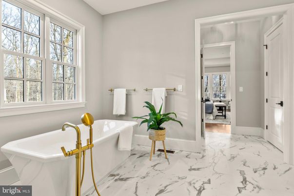 Bathroom, Free Standing Baths, Interior, Marble