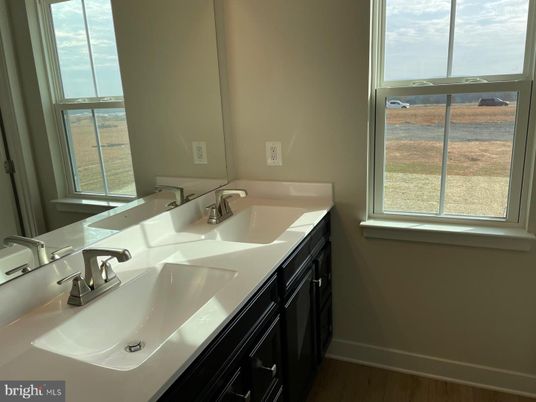 Bathroom, Dual Sink Vanities, Interior, Wood Texture Flooring