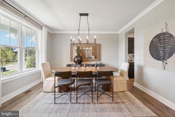 Dining room, Interior, Pendant Lights, Wood Texture Flooring
